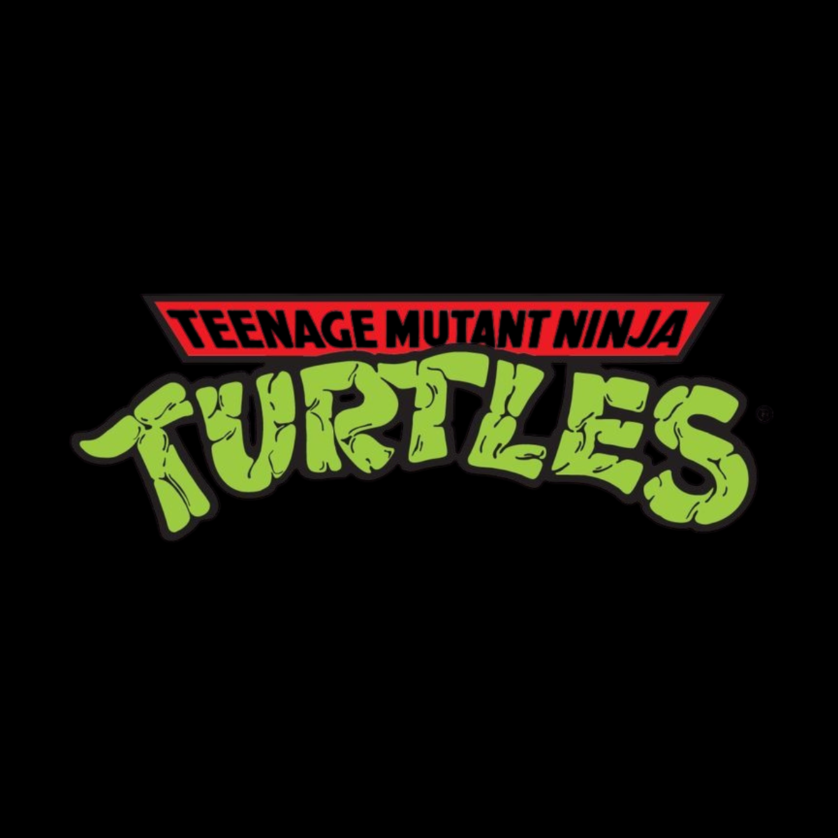 Teenage Mutant Ninja Turtles Action Figures & Collectibles