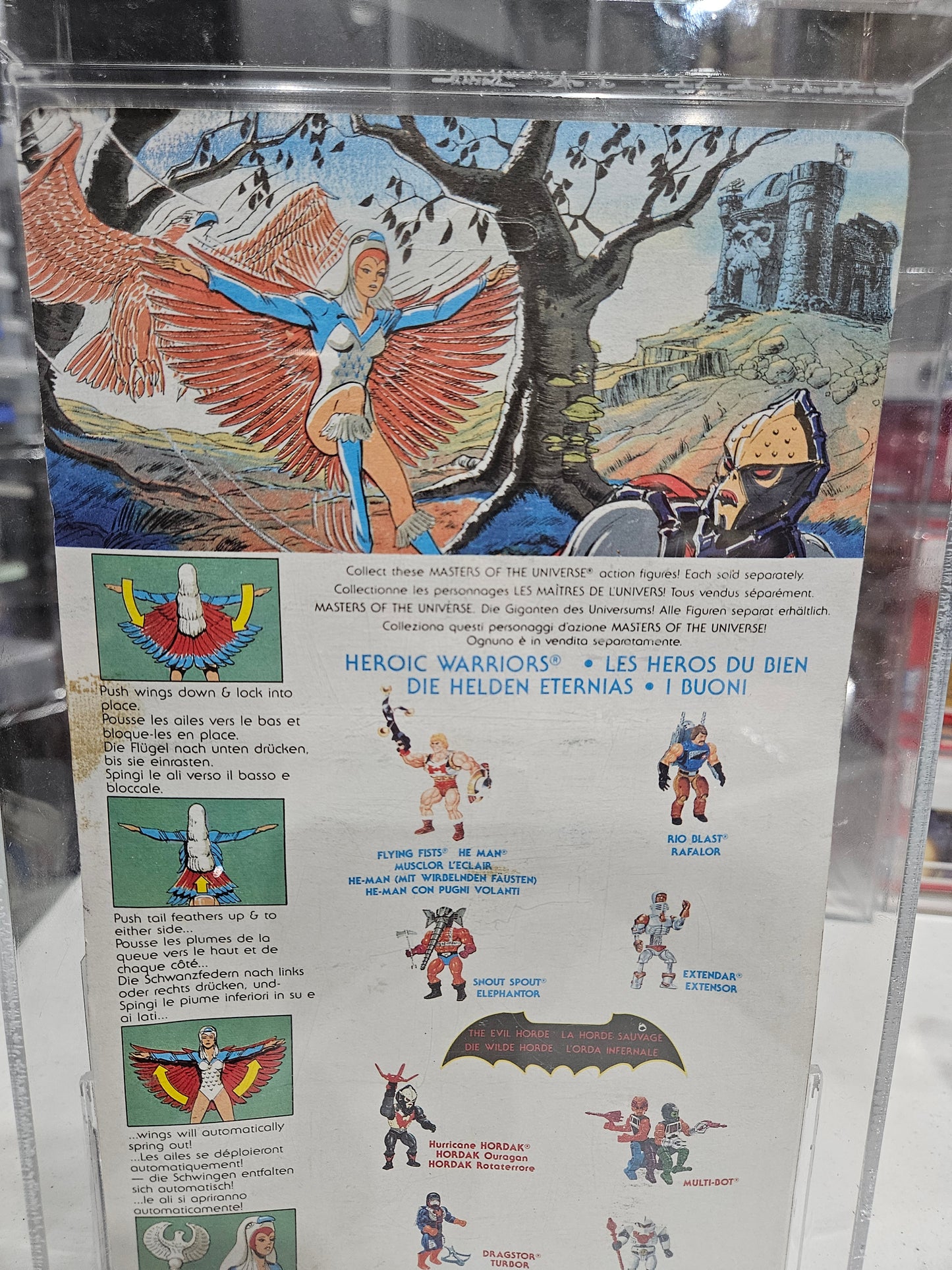 1987 Mattel MOTU European Card Sorceress AFA 80 NM